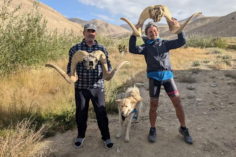 Shakar and Marco Polo' sheep skull