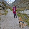 Hiking with Dogs: 8 Essential Tips Before You Go Trekking con il cane