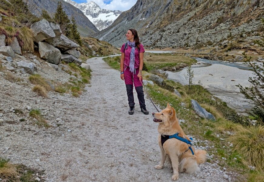 Trekking con il cane